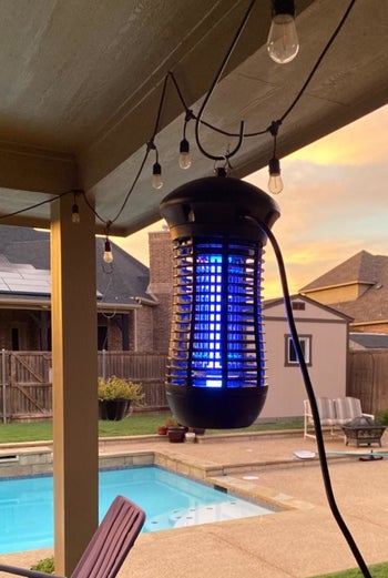 the blue insect zapper hanging under a patio