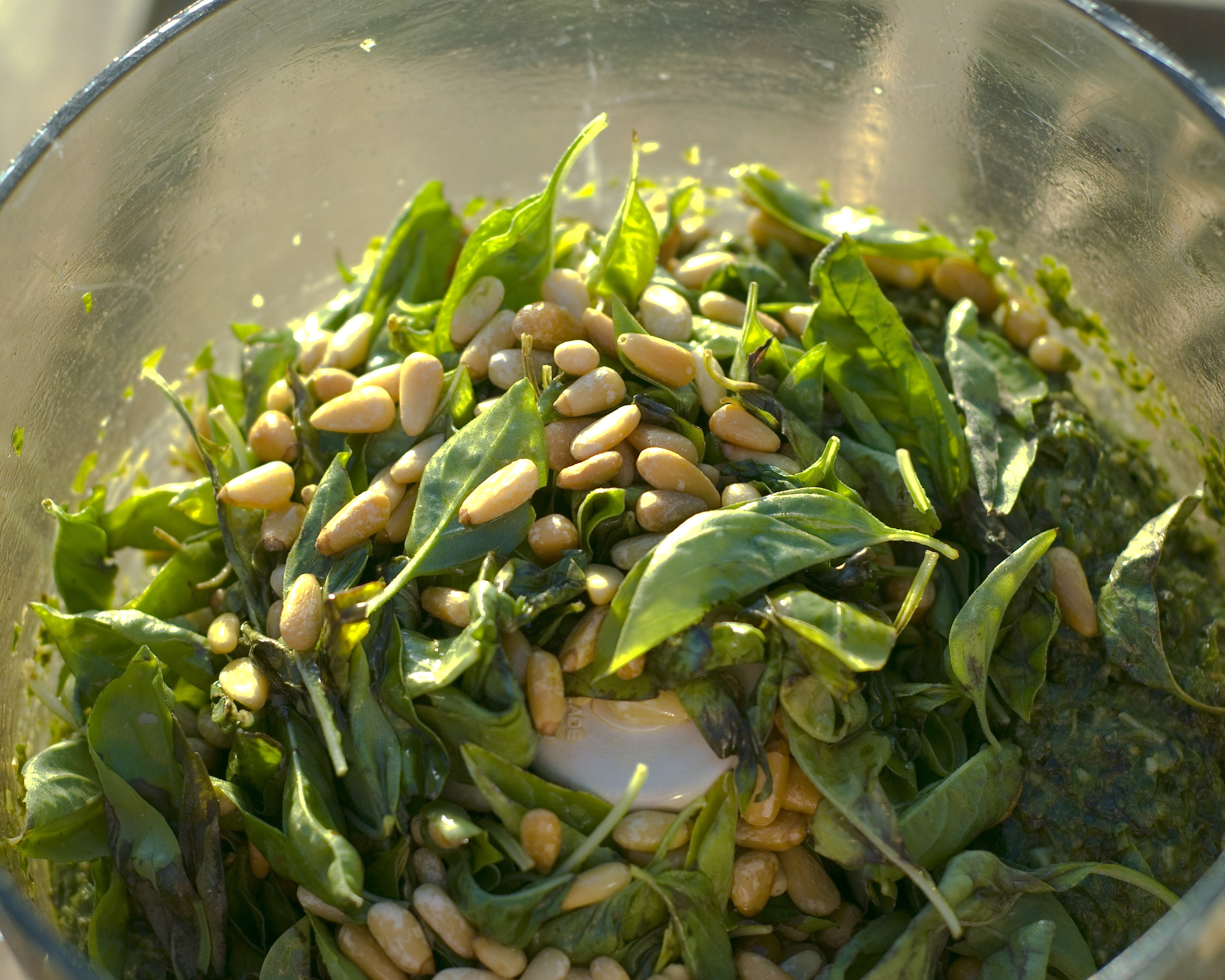Making pesto with pine nuts and basil