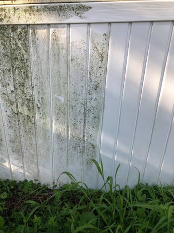 a fence partially cleaned with the pressure washer, with the already cleaned side looking fresh and almost new