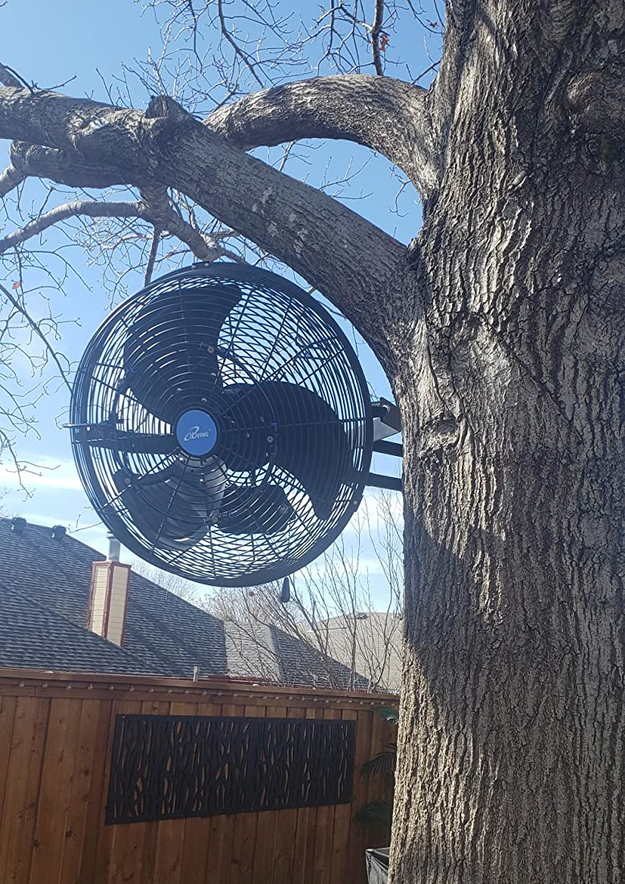 the fan hanging from a tree