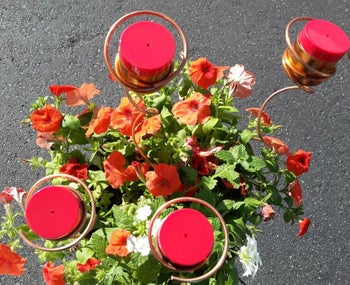 various feeders in a plant