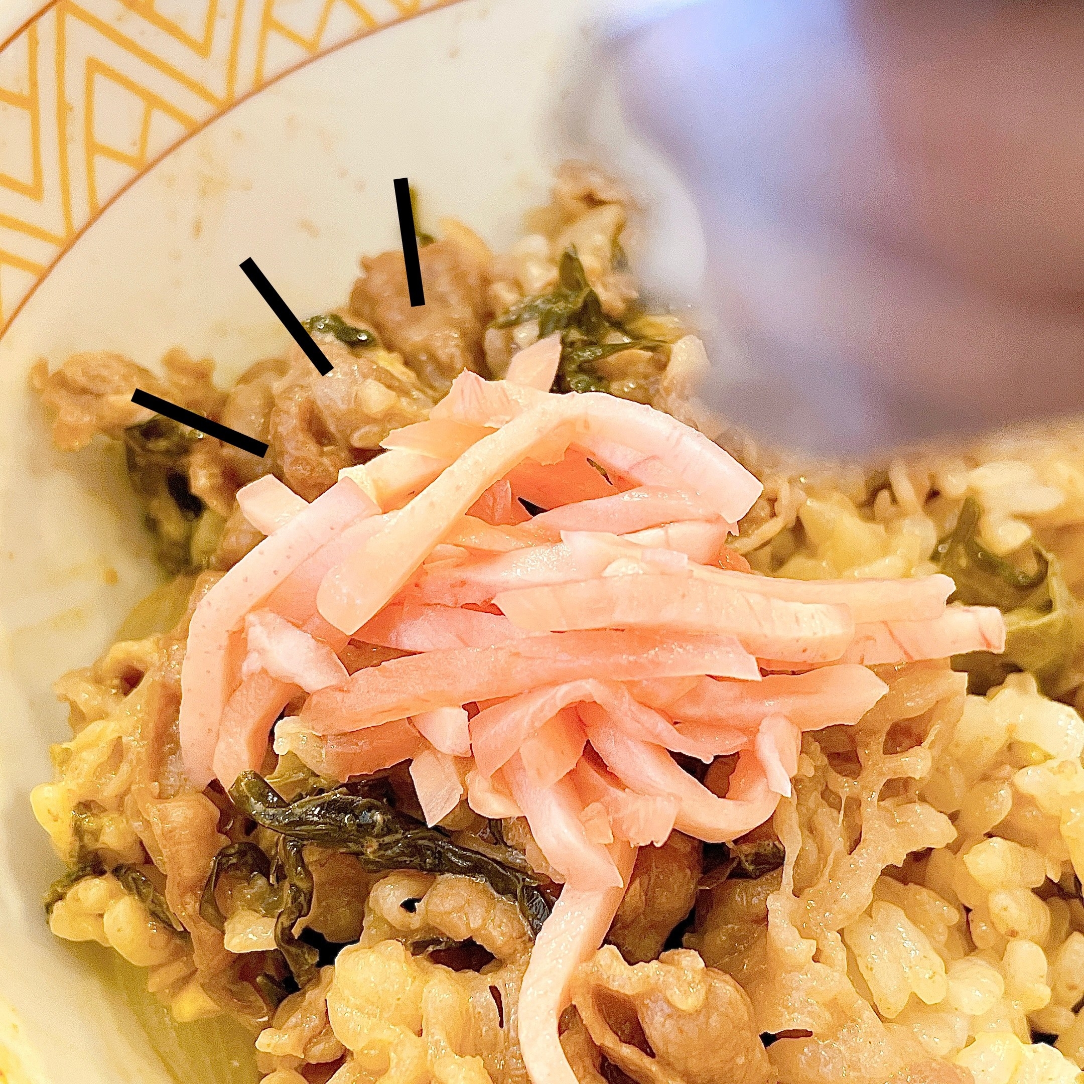 すき家のオススメのメニュー「高菜明太マヨ牛丼」