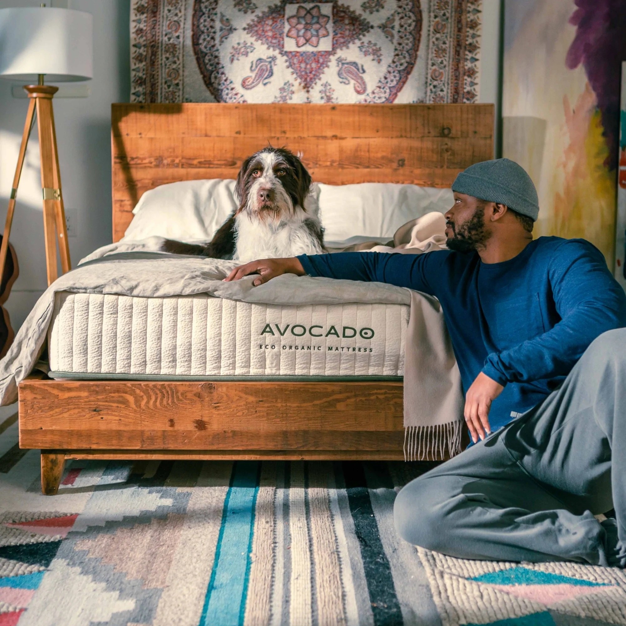 A dog sits on the Avocado mattress while a person looks on