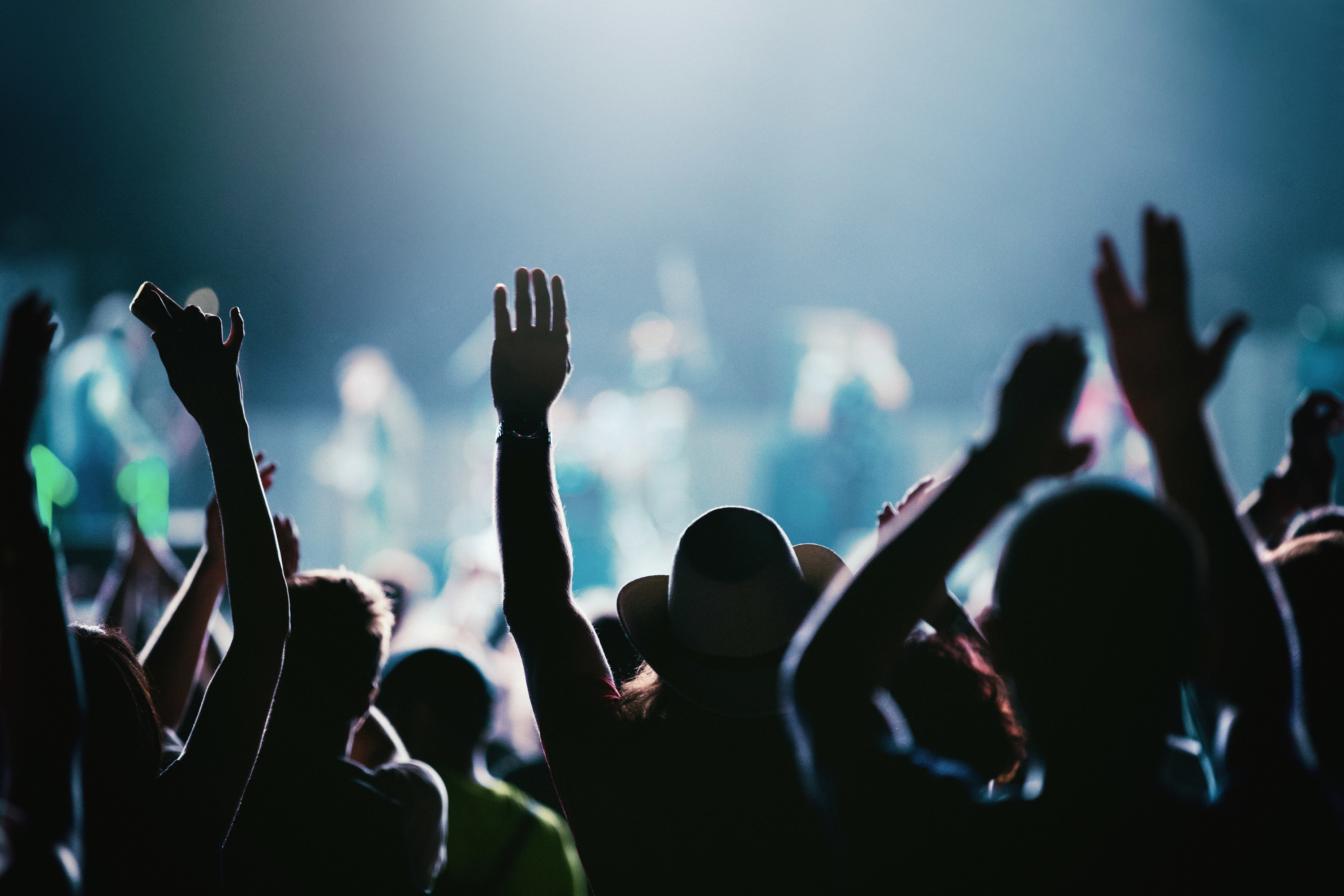 the back of a crowd at a concert