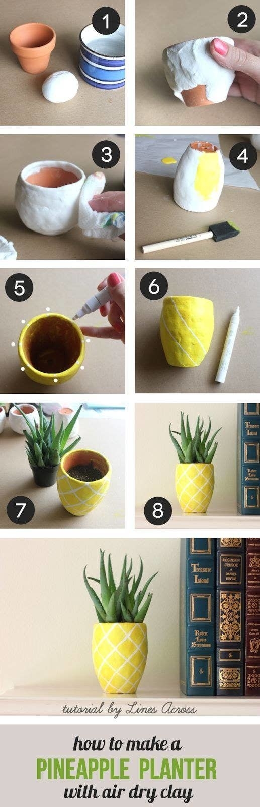 pineapple planter