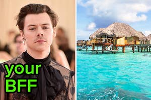 Harry Styles is on the left labeled, "your BFF" with a view of Bora Bora on the right