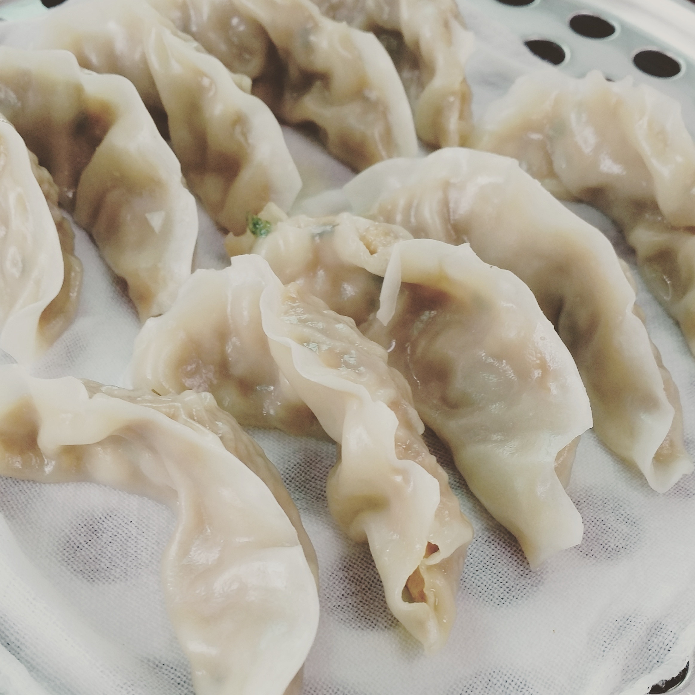 Close-up of steamed dumplings.