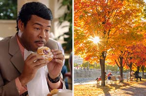 On the left, Jordan Peele eating a Danish on Key and Peele, and on the right, some autumn trees in a park in the morning sun