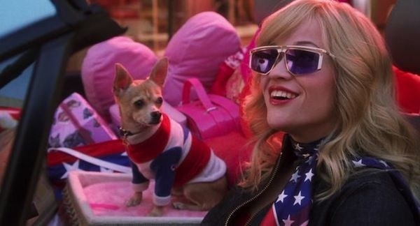 Elle Woods and her dog