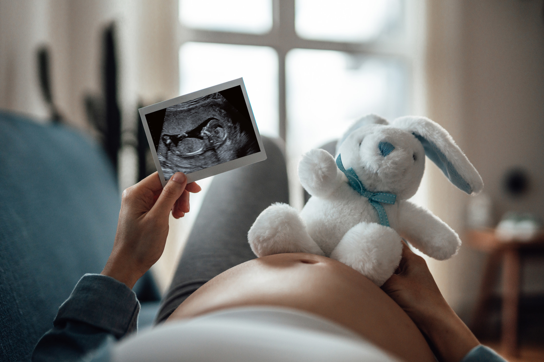 怀孕的人正看着一个超声波和毛绒玩具