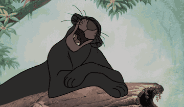 Bagheera the panther in Disney&#x27;s &quot;The Jungle Book&quot;