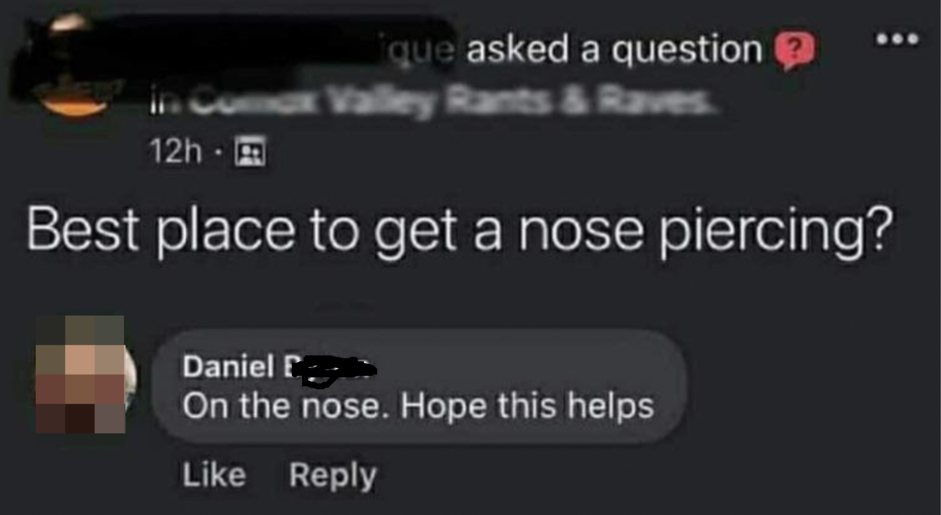 someone asks best place to get a nose piercing and someone responds on the nose