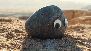A rock with googly eyes