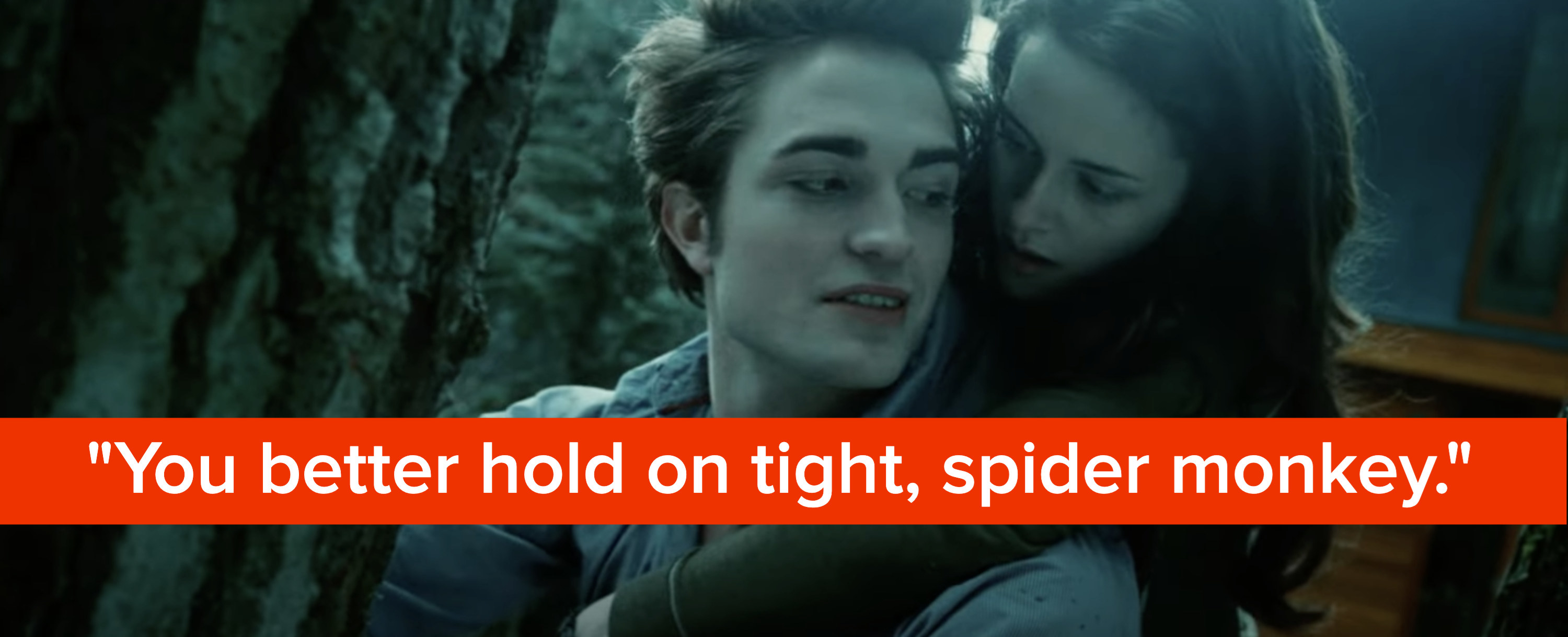Edward from &quot;Twilight&quot; says, &quot;you better hold on tight, spider monkey&quot;