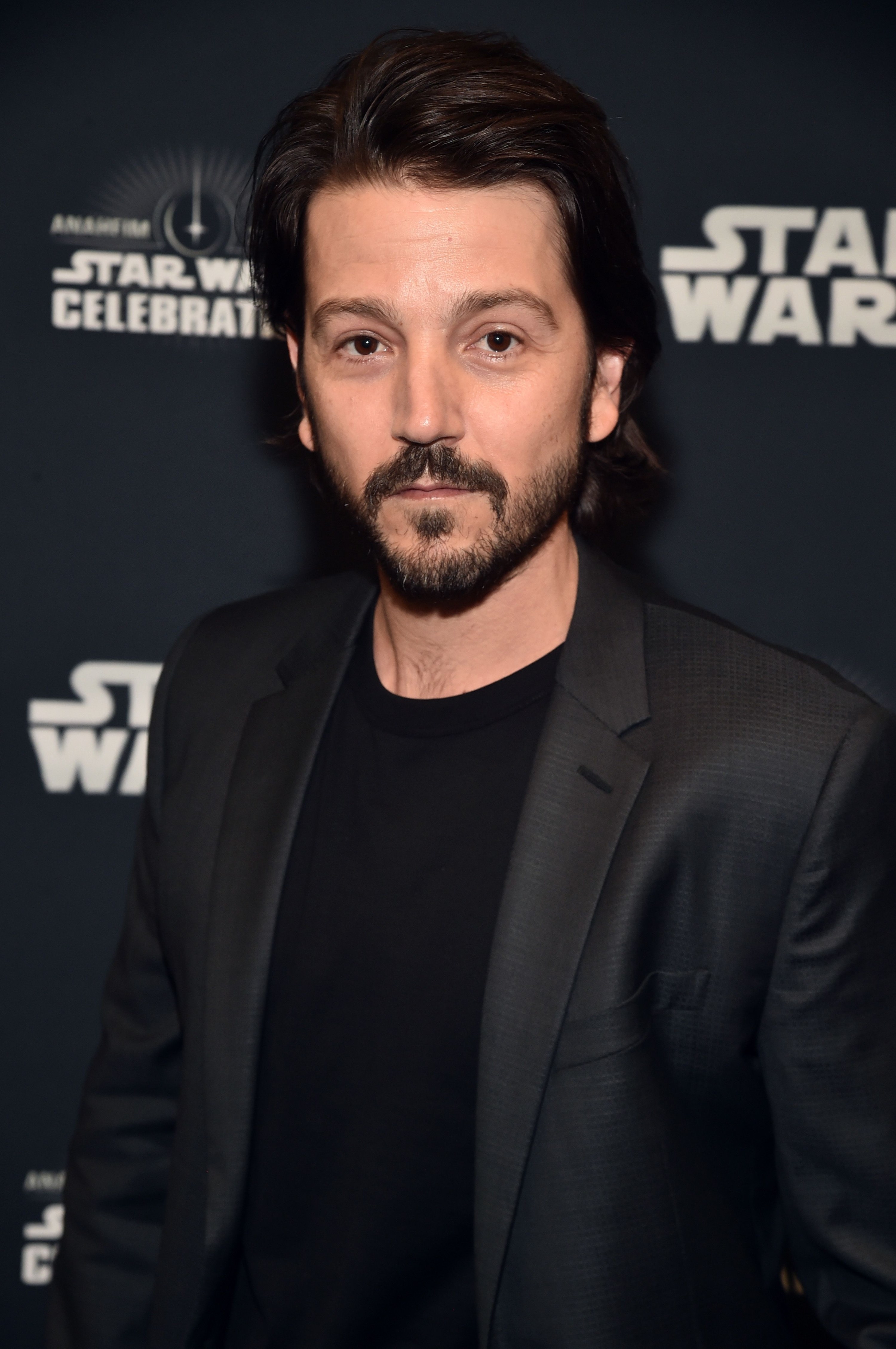 Diego Luna on the red carpet