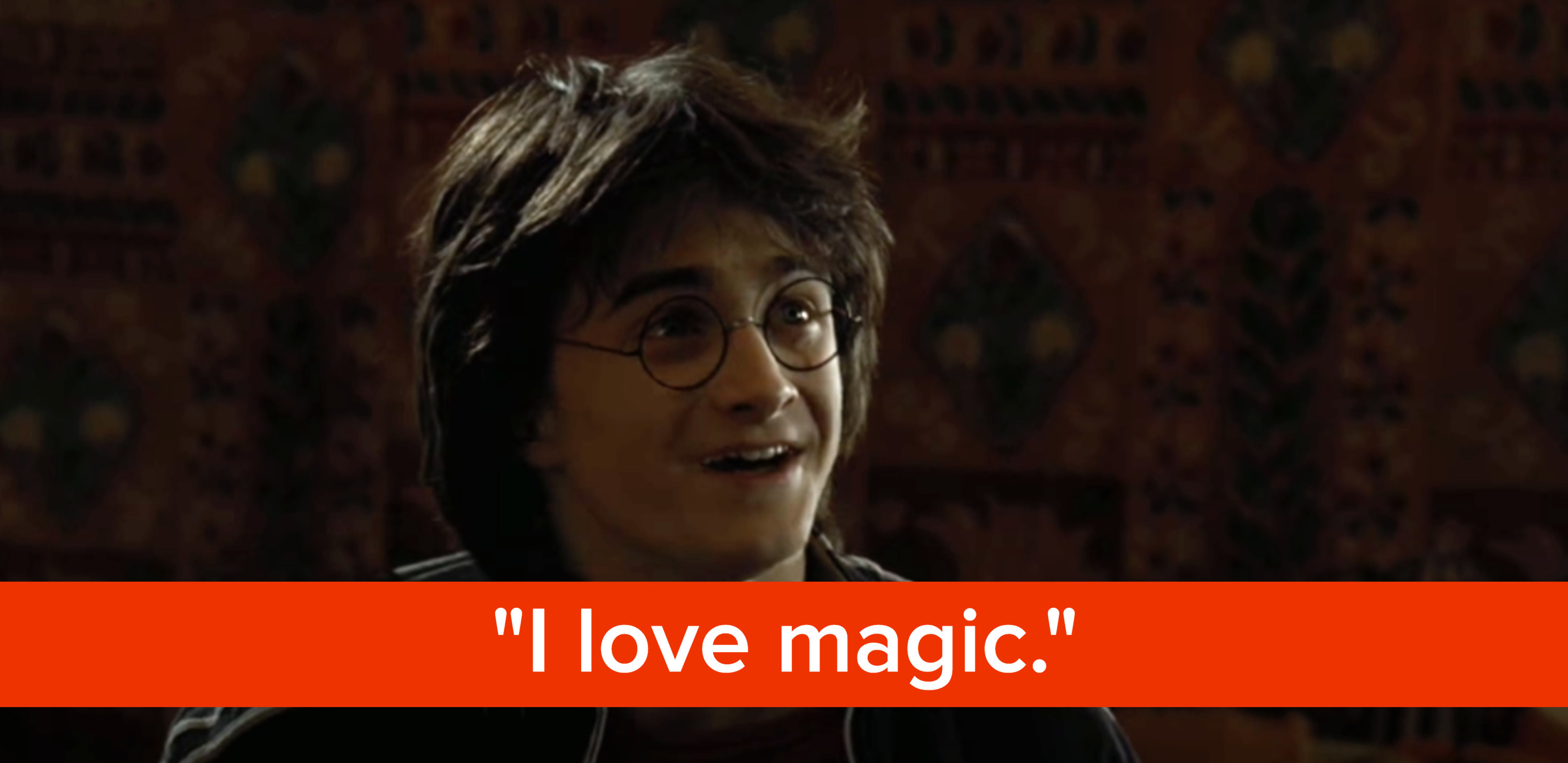 Harry Potter says, &quot;I love magic&quot;
