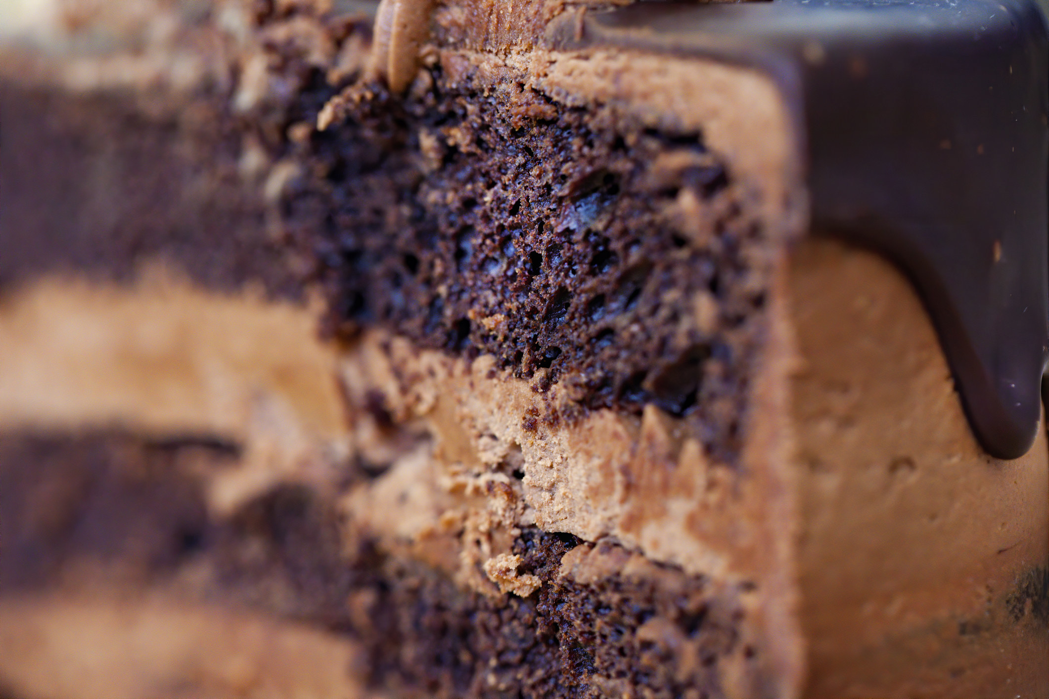 Homemade layered chocolate cake.