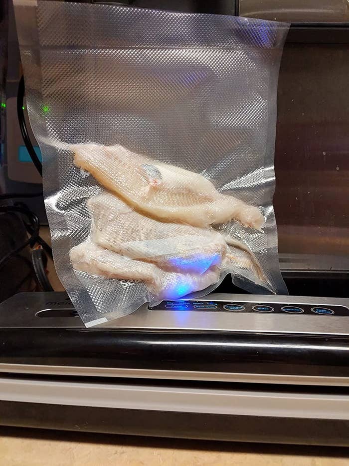 Reviewer&#x27;s photo showing the vacuum sealer with frozen fish sealed tightly in bag
