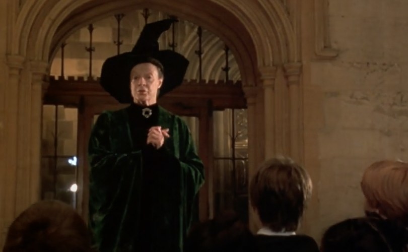 Professor McGonagall instructing pupils