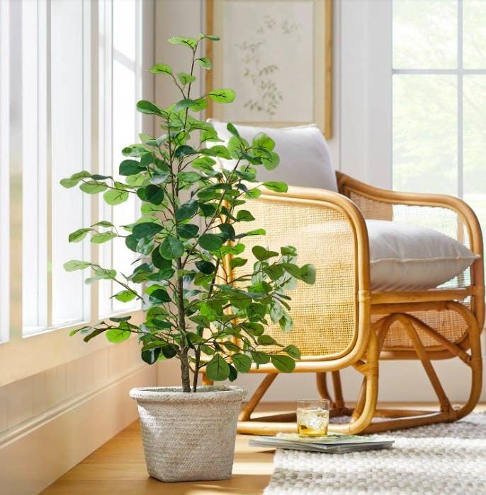 Small faux floor plant next to a rattan chair