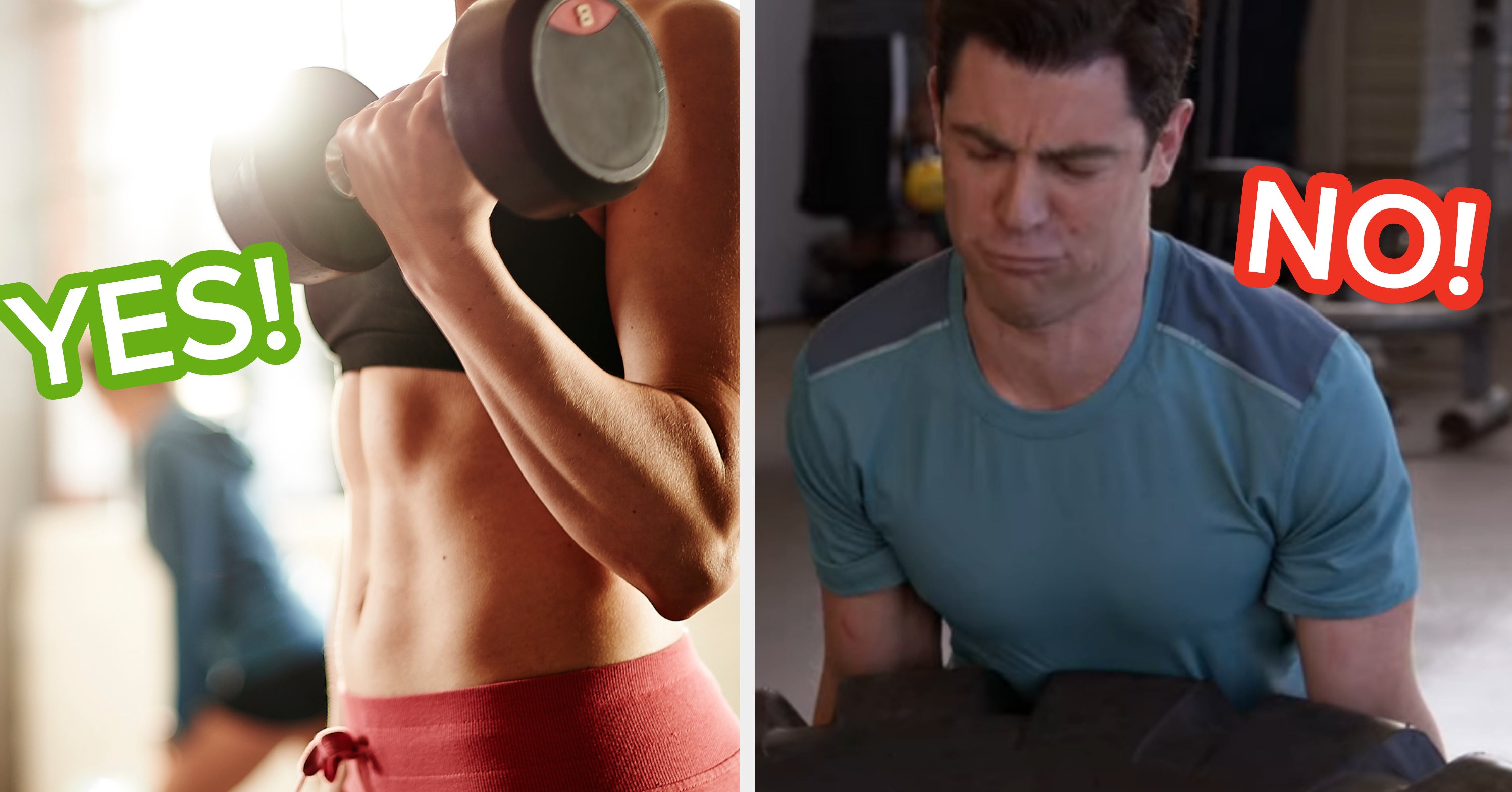 Go To The Gym To Reveal If You're A Gym Rat At Heart