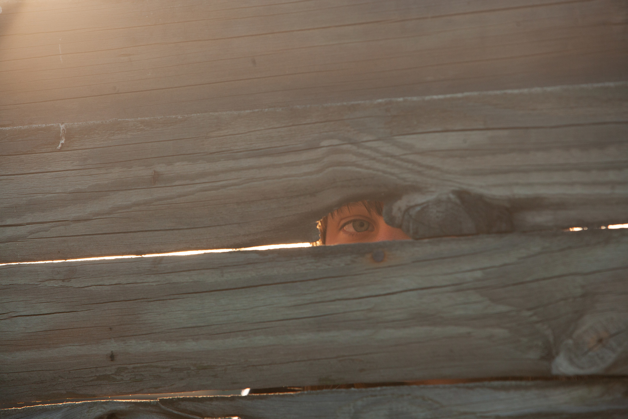 A blue eye seen peeking through a crack in a wooden fence