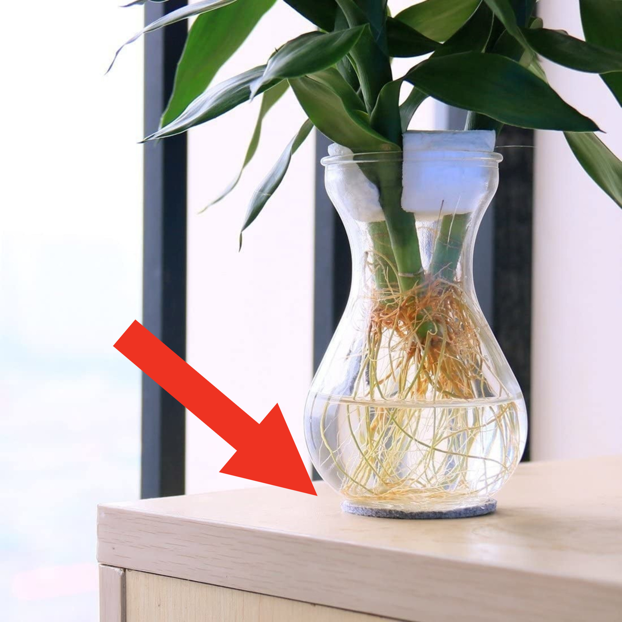 A circle of adhesive felt tape underneath a vase