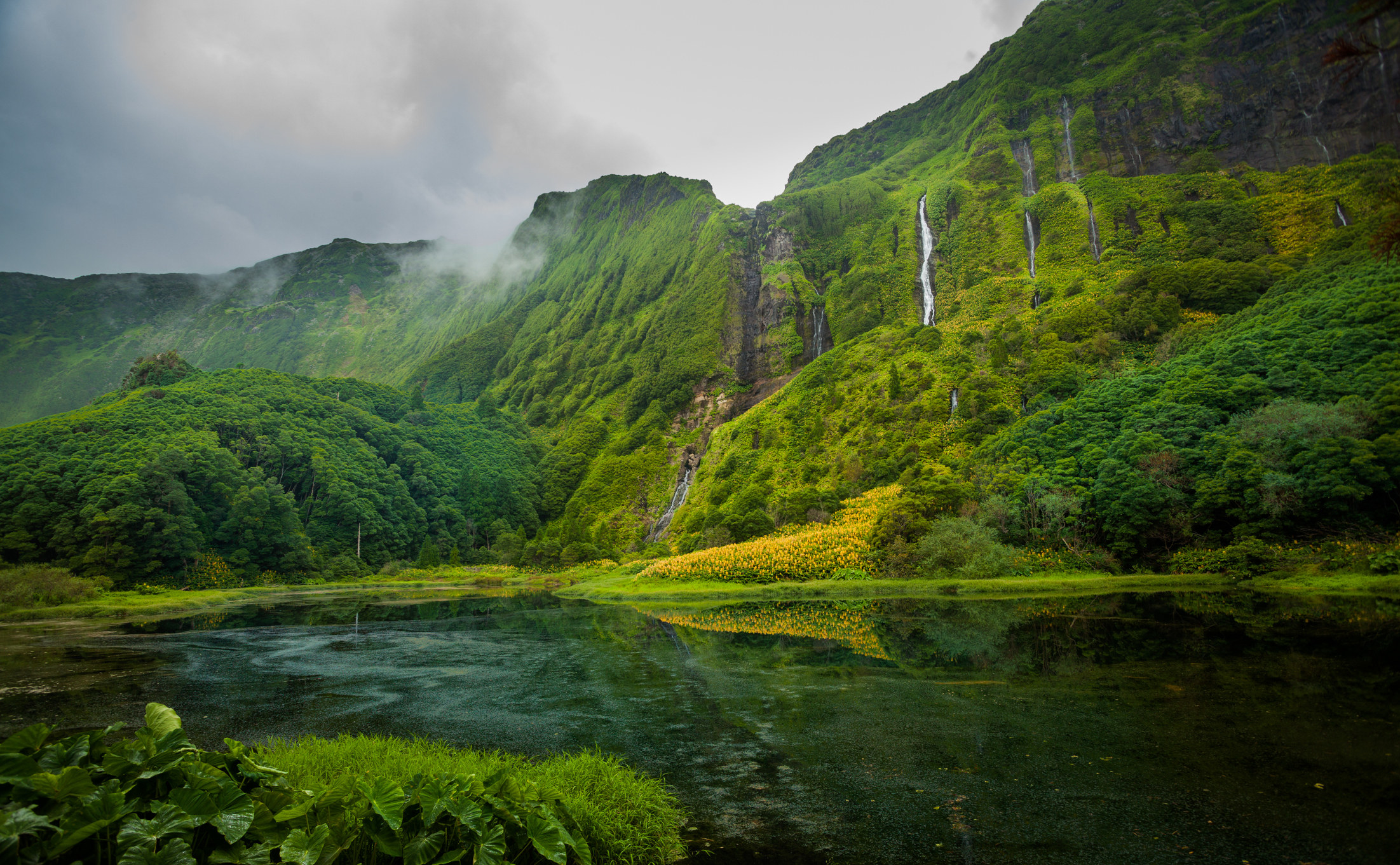 Lush forest and waterfalls in the Azores.
