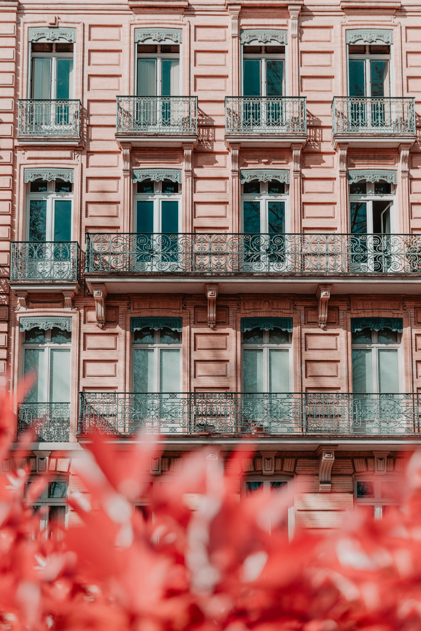 Plants next to a colorful building in Toulouse.