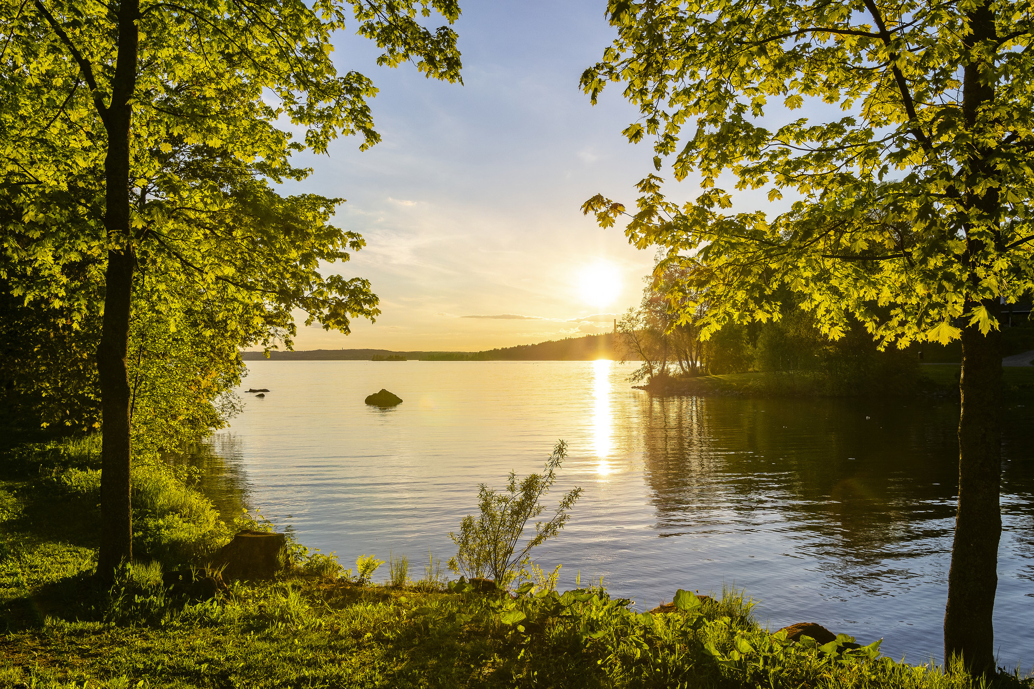 坦佩雷,芬兰的风景自然视图。