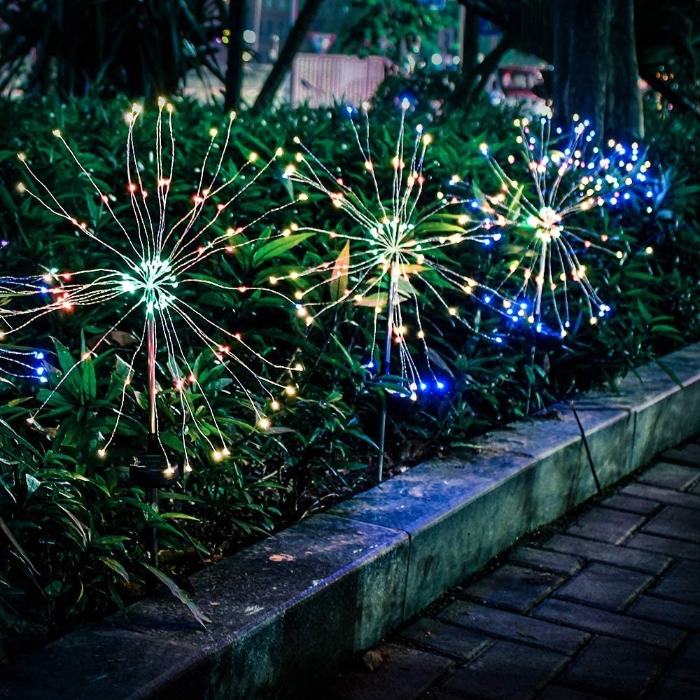 the multicolored lights in a garden