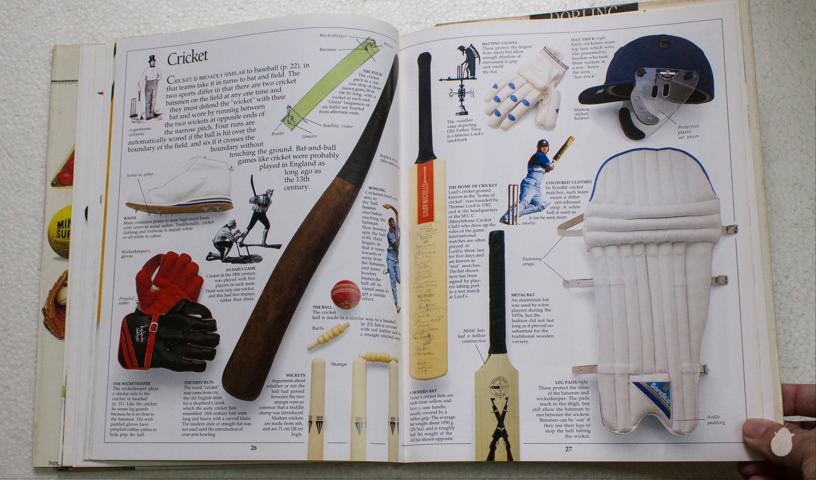 a page about cricket from an eyewitness book