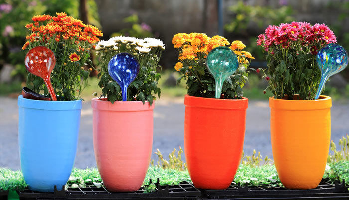 the multicolor globes in multicolor plant pots outside