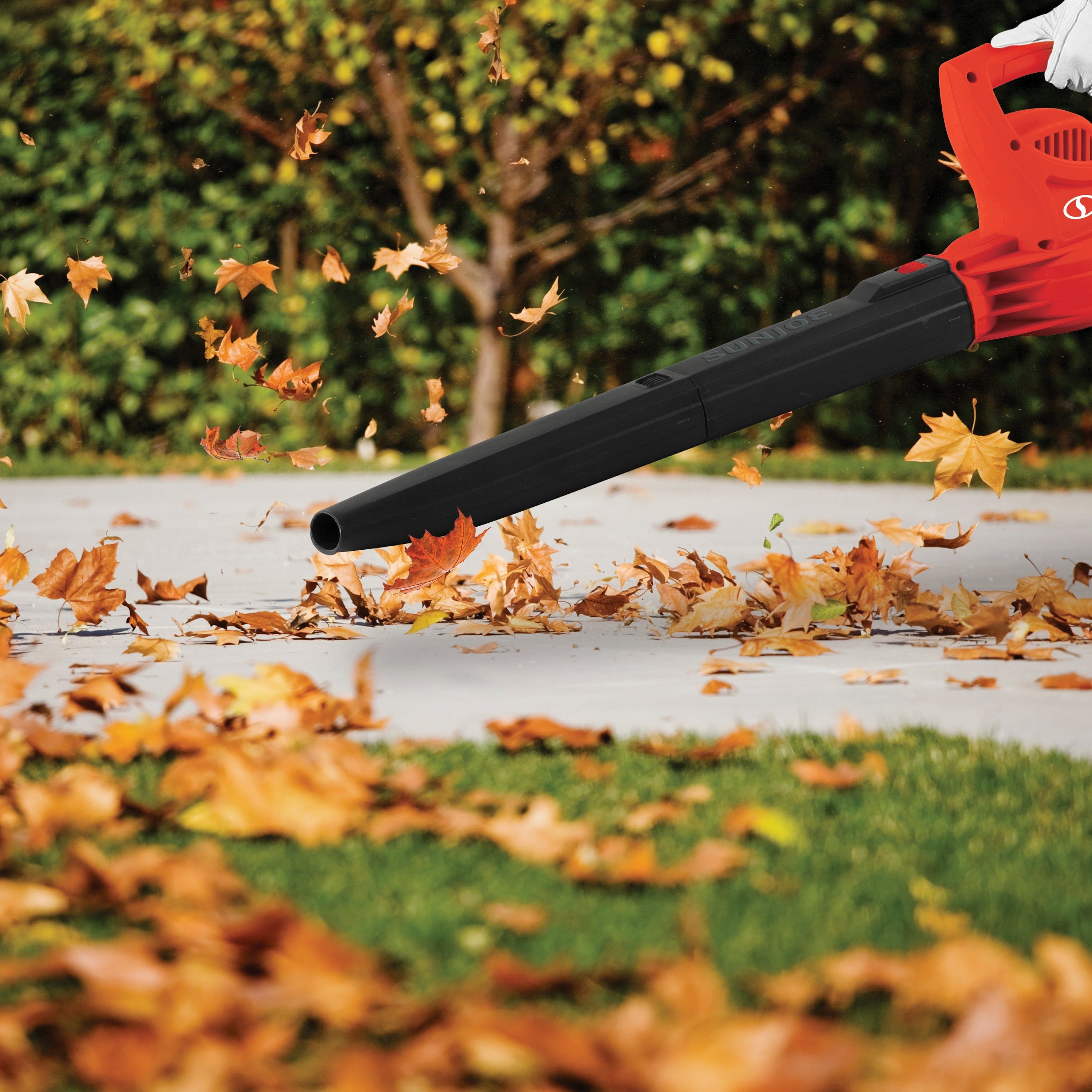 the red and black leaf blower blowing fall leaves