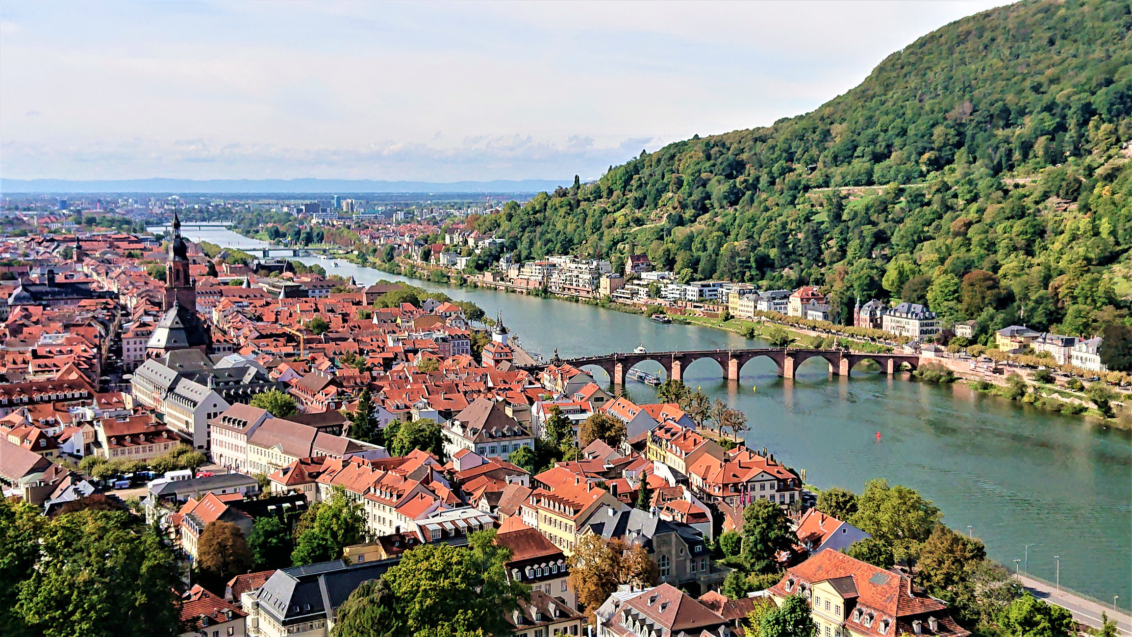 Panoramic view of Heidelberg city with the Neckar river running through it.