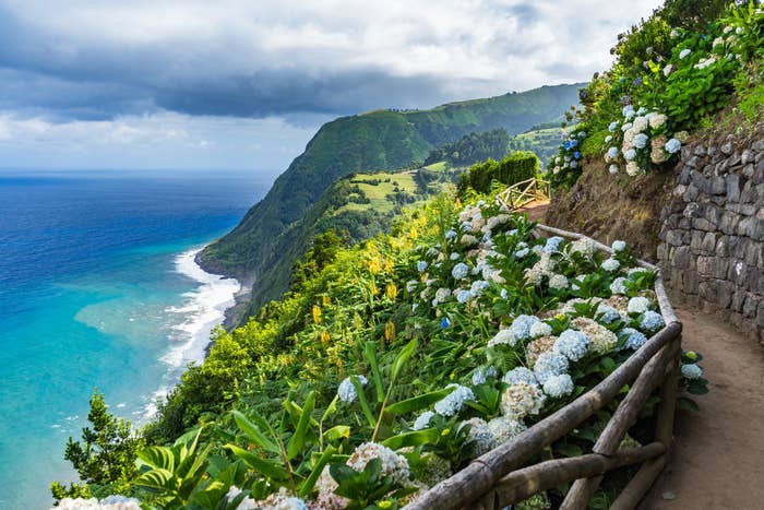 A path lined with flowers on a cliff next to the ocean.