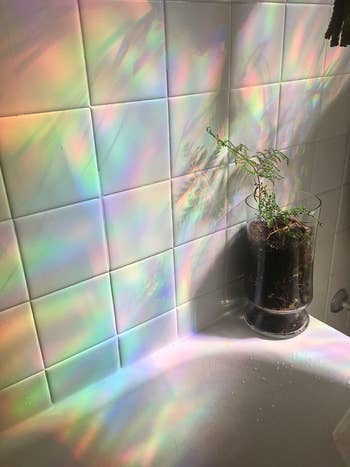 Reviewer's bathroom wall with white tile is shown with the rainbow on it