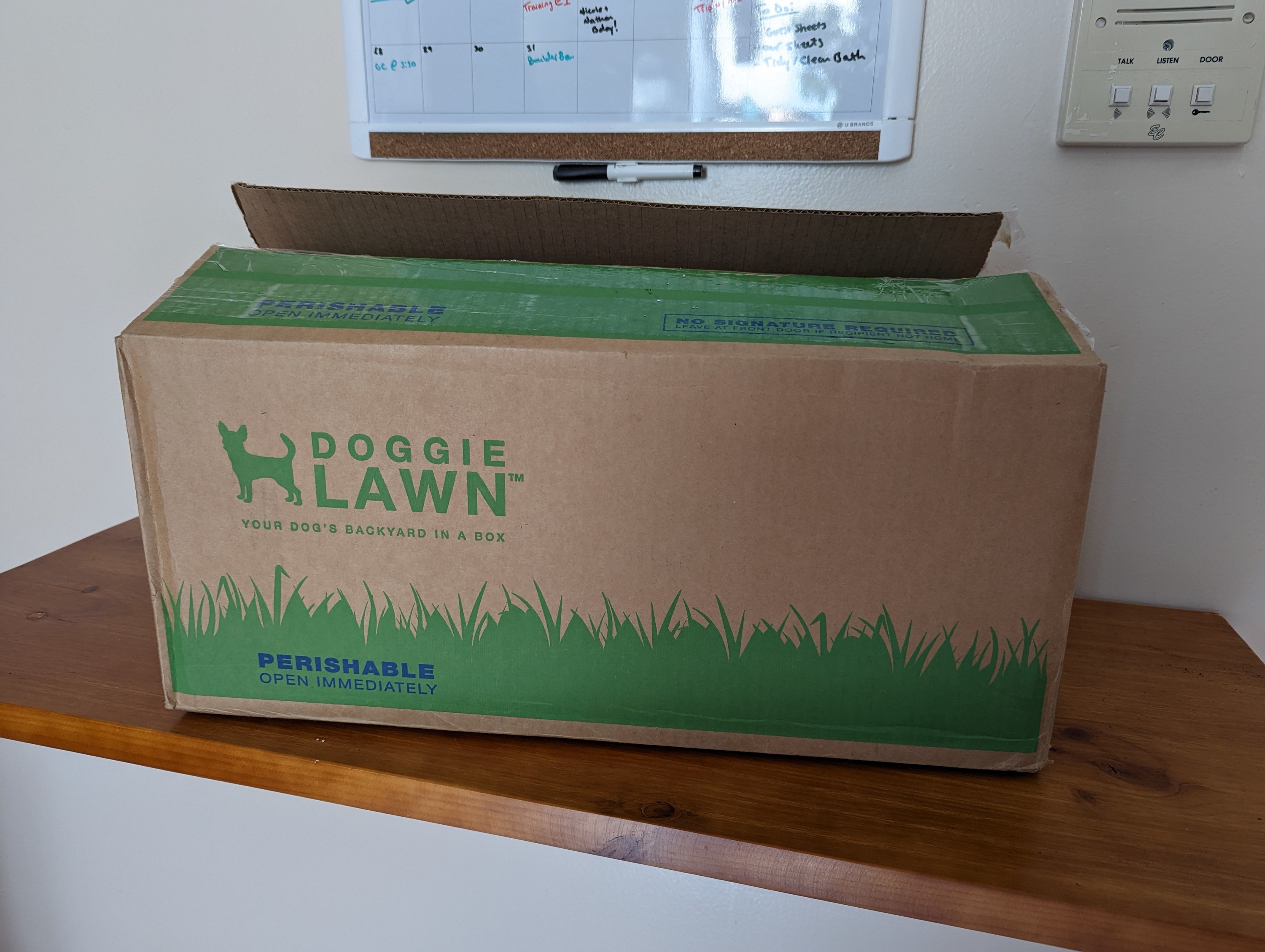 We Reviewed DoggieLawn, The Grass Potty For Your Pup