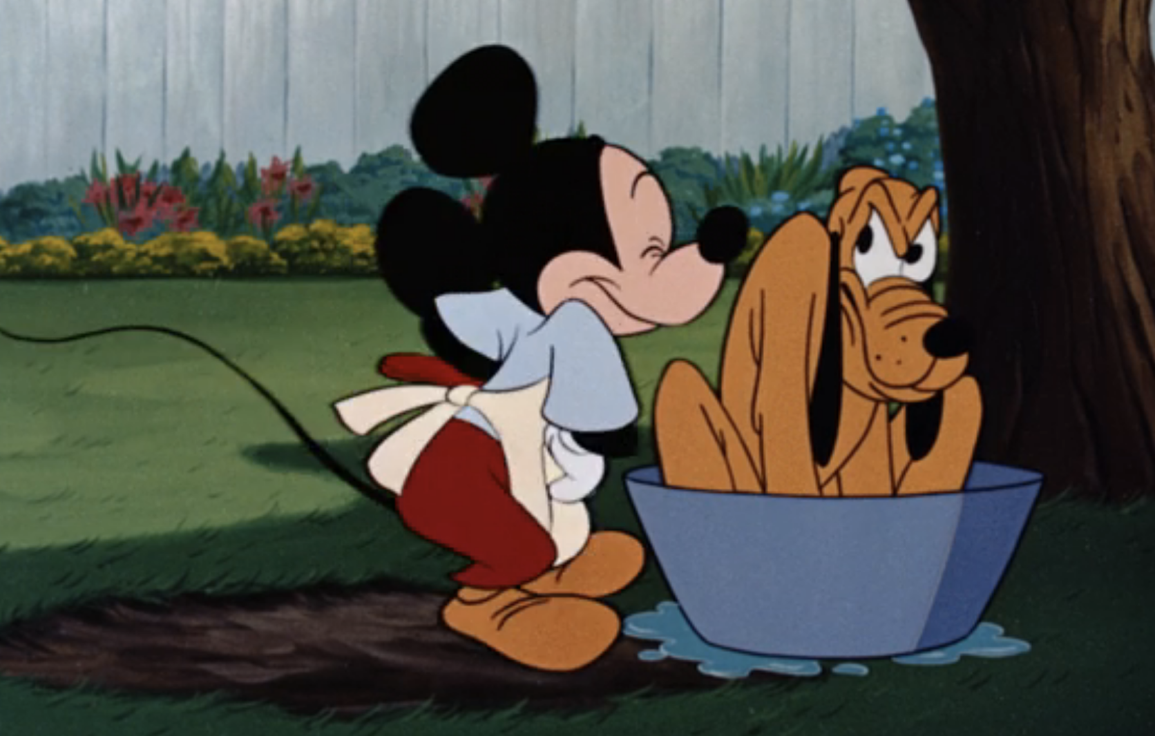 Disney s Pluto The Dog Can Talk Conspiracy Theory - 30