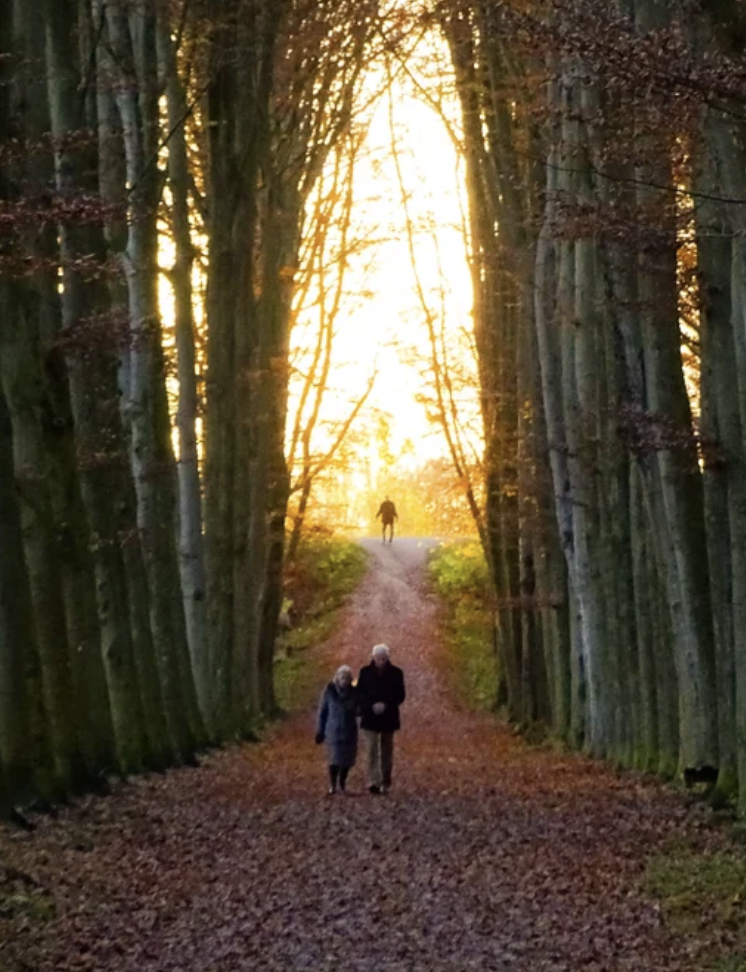 A person walking behind an older couple on a trail