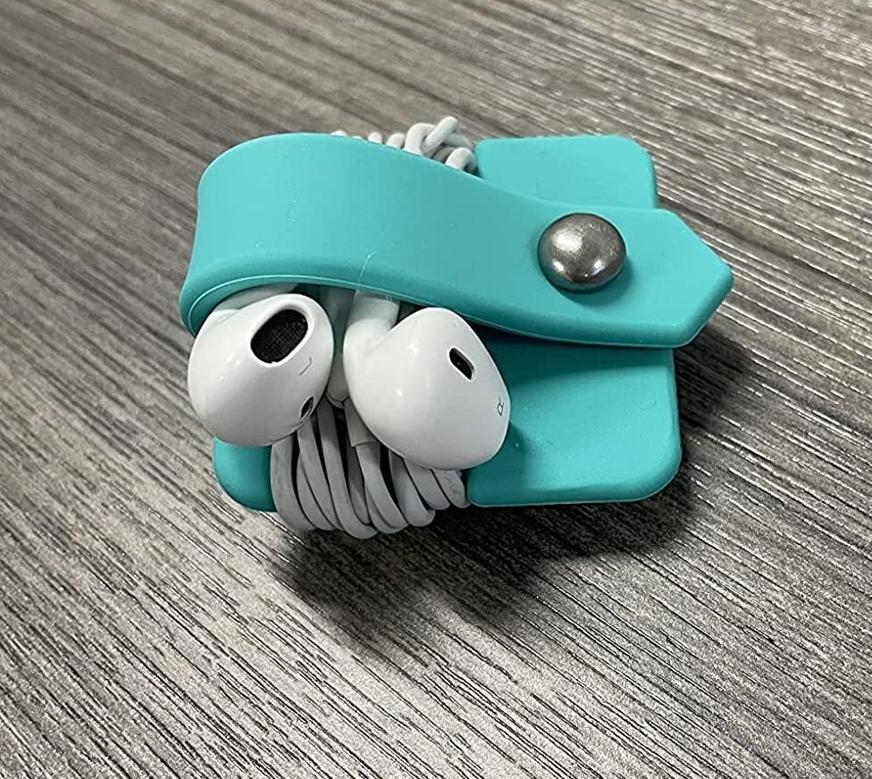 Reviewer image of earbuds in teal organizer
