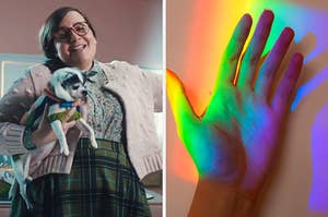 On the left, Aidy Bryant holding a Chihuahua in an SNL sketch, and on the right, a rainbow reflecting onto someone's hand
