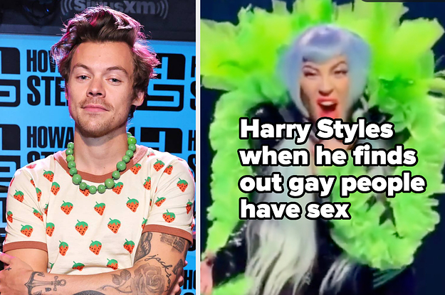 Harry Styles Made Some Insensitive Comments About Gay Sex In Film — And Now Its A Meme Startseite 