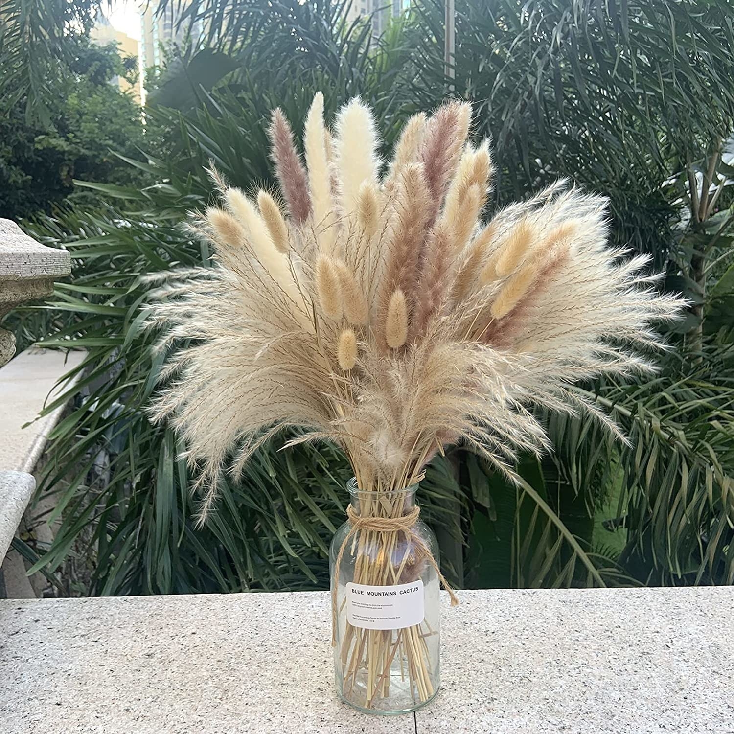 the pampas grass in a vase outside