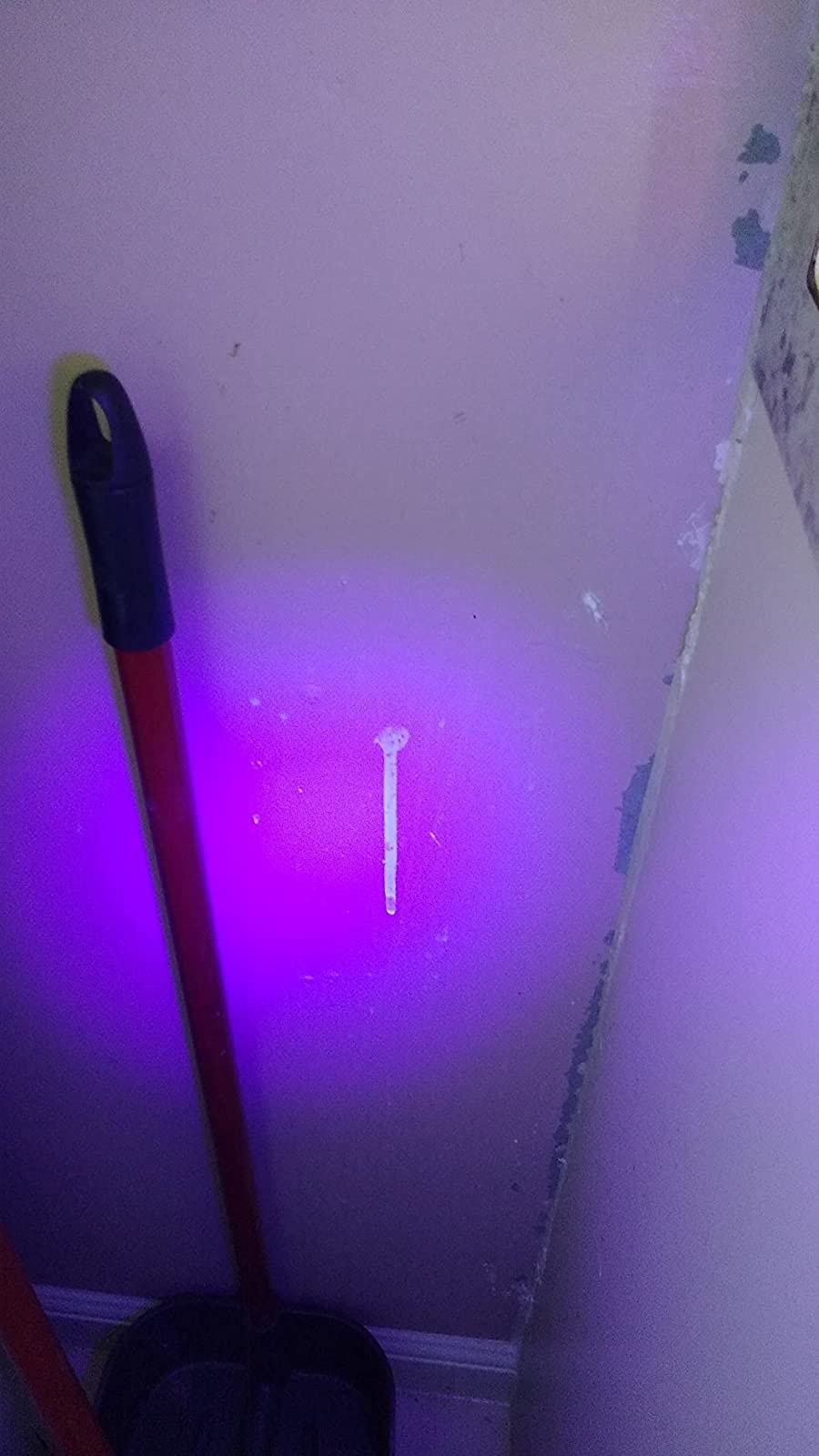 a reviewer photo of the UV flashlight revealing a spray mark on a wall