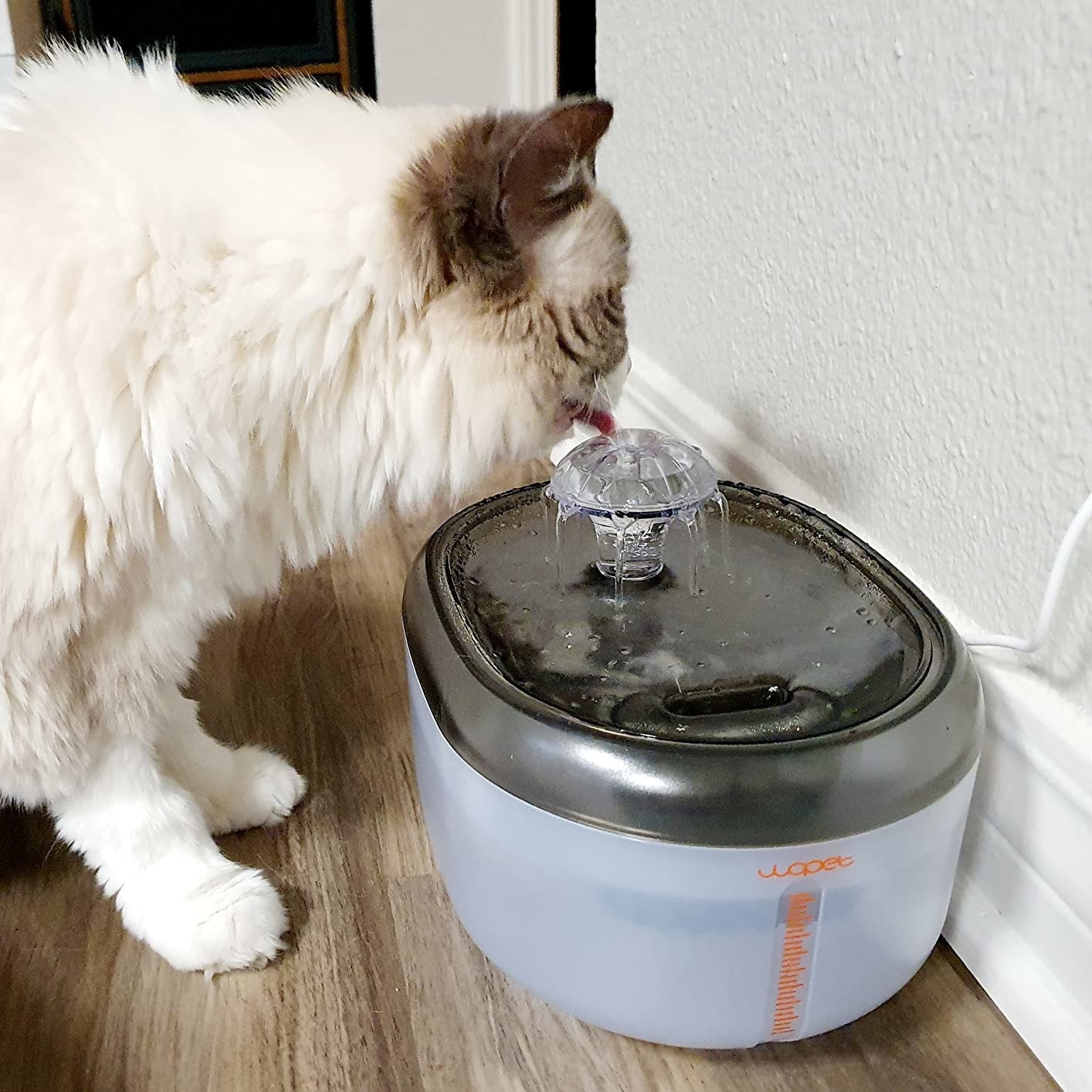 a reviewer photo of a fluffy white cat drinking out of the silver fountain