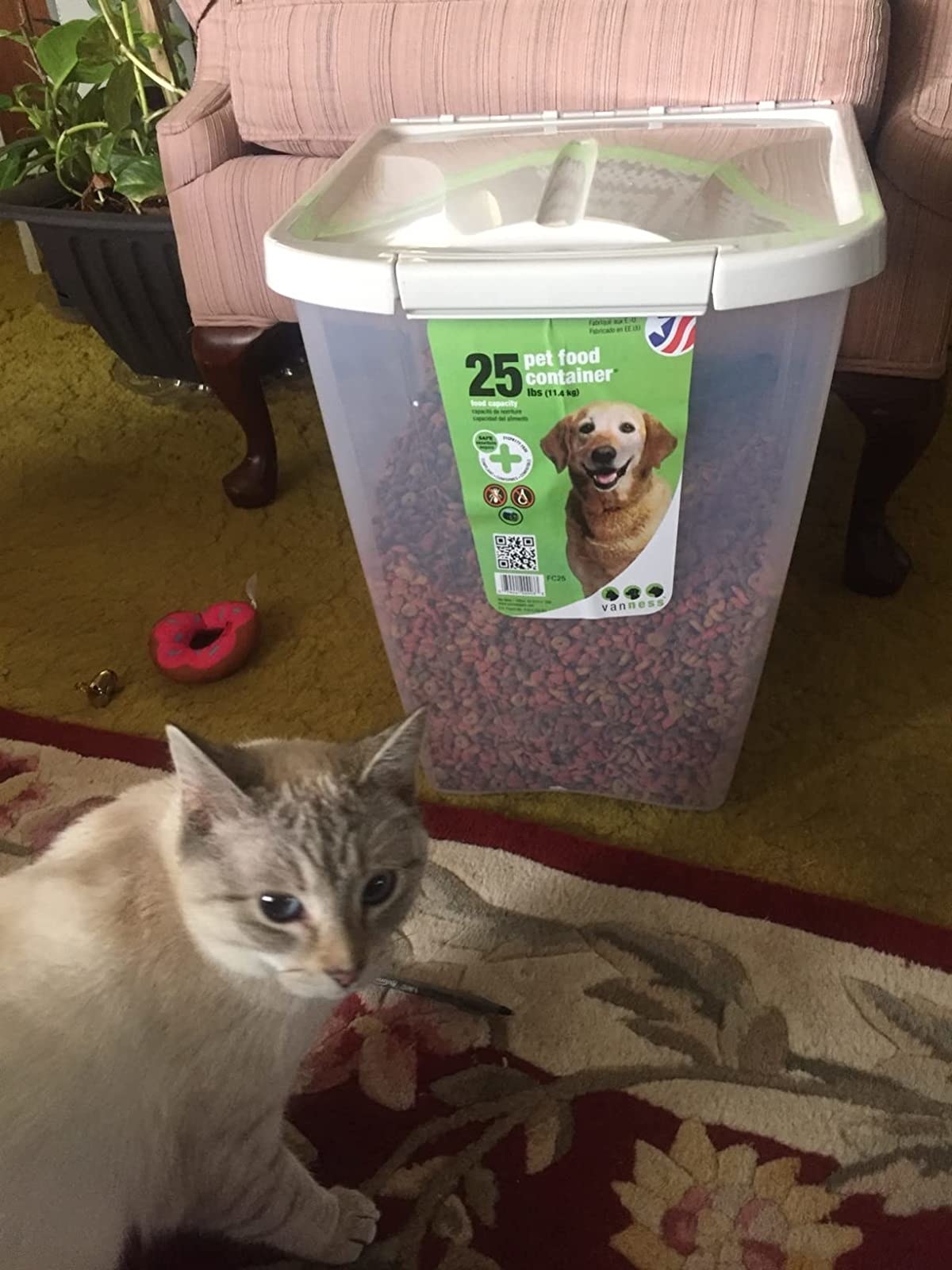 a reviewer photo of a grey cat with the large food bin