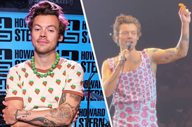 Harry Styles Fans Threw Chicken Nuggets On Stage, And He Had To Stop The Show To Figure Out What Was Going On