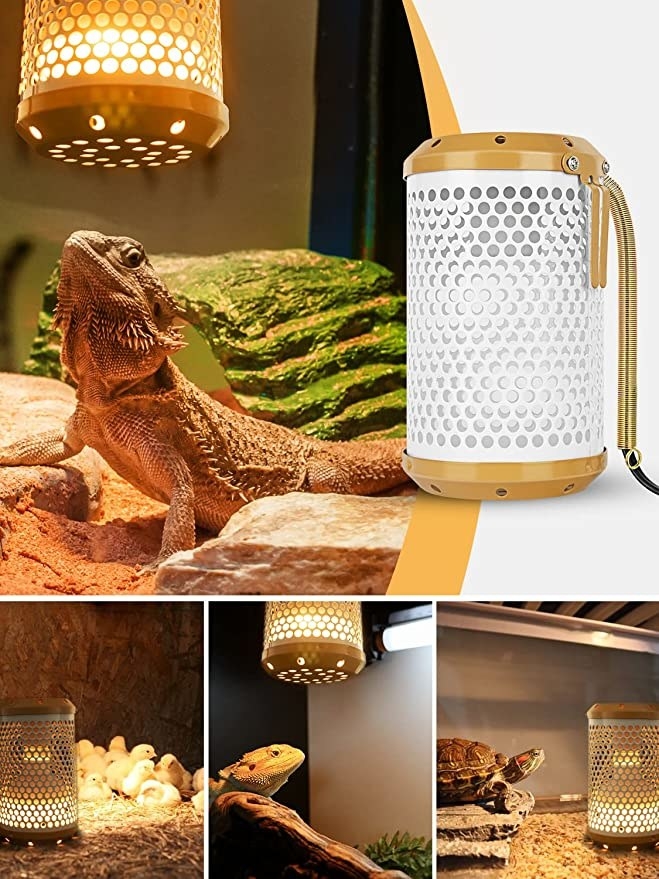 a photoset showing the white round lamp cover with several different reptiles and chicks