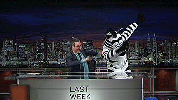 John Oliver at his desk dabbing next to a zebra